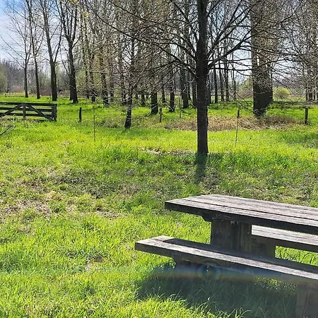 De Steegsche Hoeve - Casa de Férias Schijndel